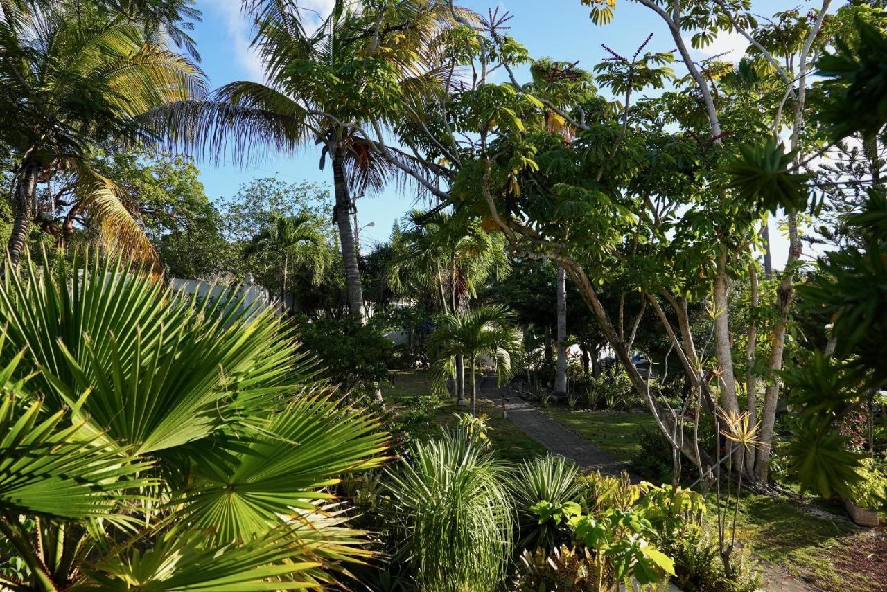Quill Gardens Boutique Hotel Oranjestad  Exterior photo
