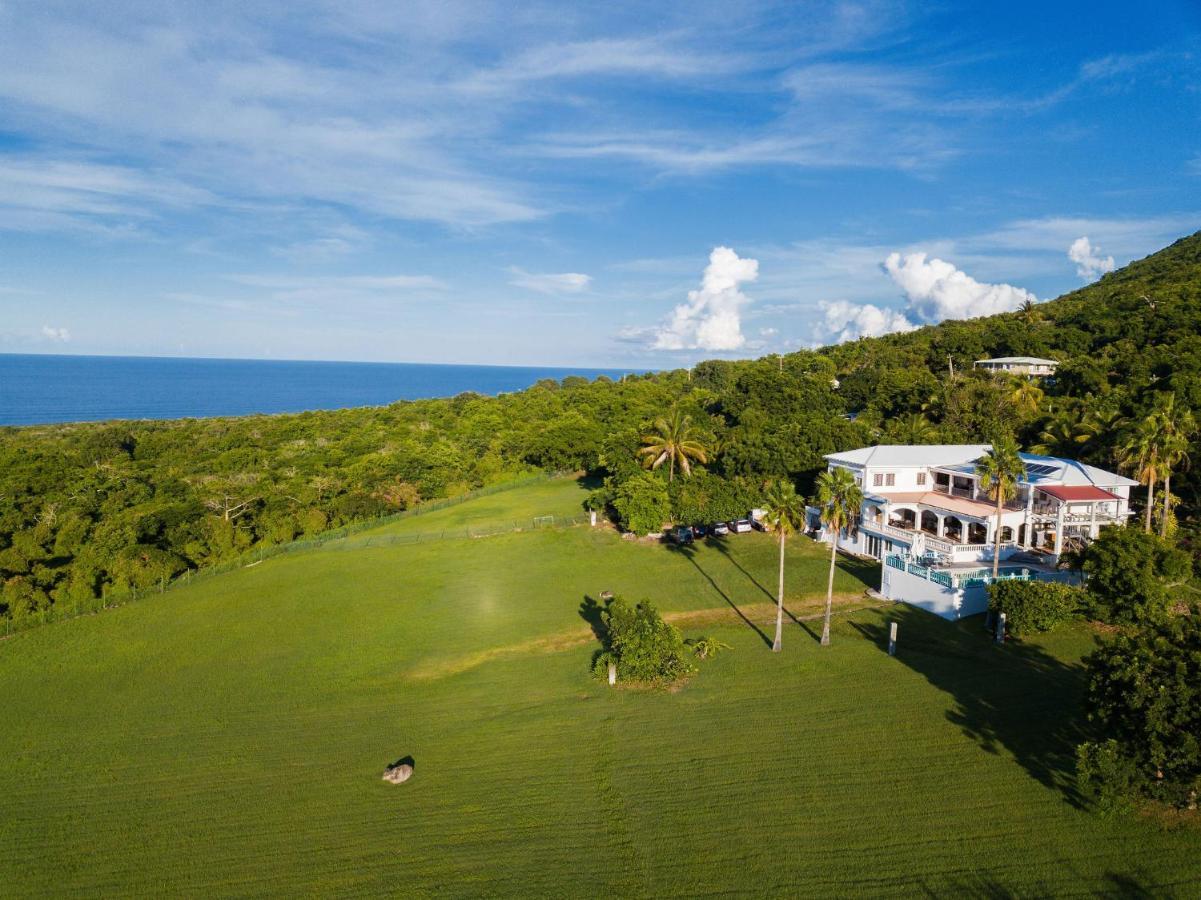Quill Gardens Boutique Hotel Oranjestad  Exterior photo